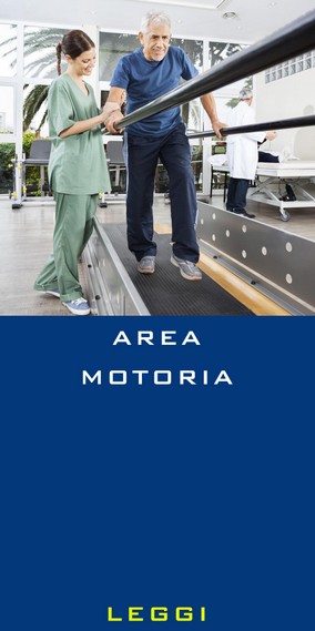 Area Motoria.jpg